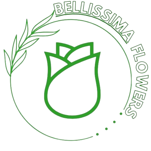 Bellisima