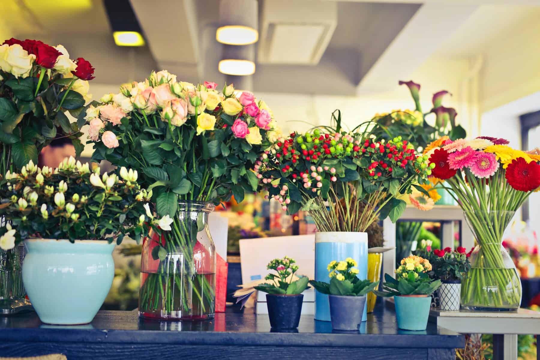 Bellissima Flowers